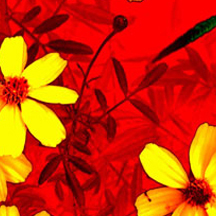 智能预警系统的cc攻击免费网页版